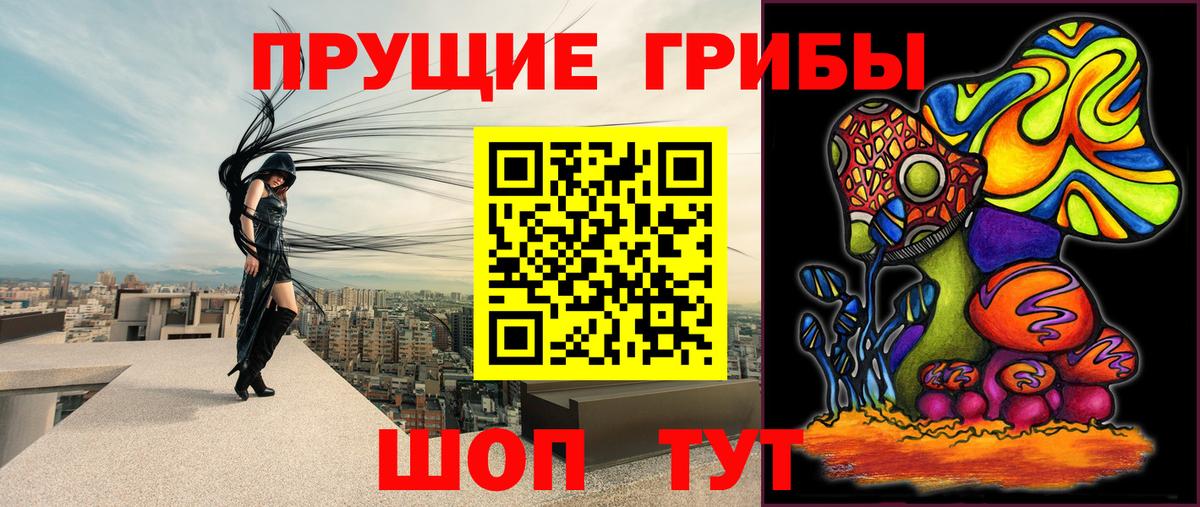 Галлюциногенные грибы GOLDEN TEACHER  Вход с VPN  Лесосибирск  Псилоцибиновые грибы Cubensis 